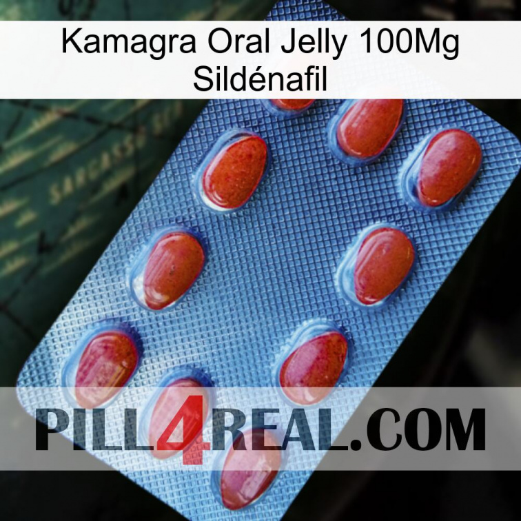 Kamagra Oral Jelly 100Mg Sildénafil 06